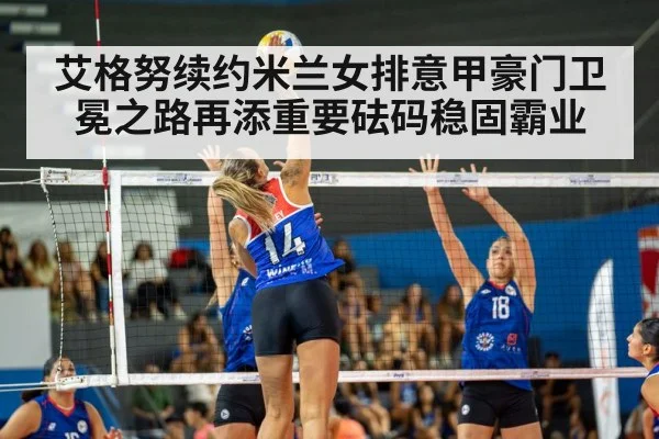 volleyball match