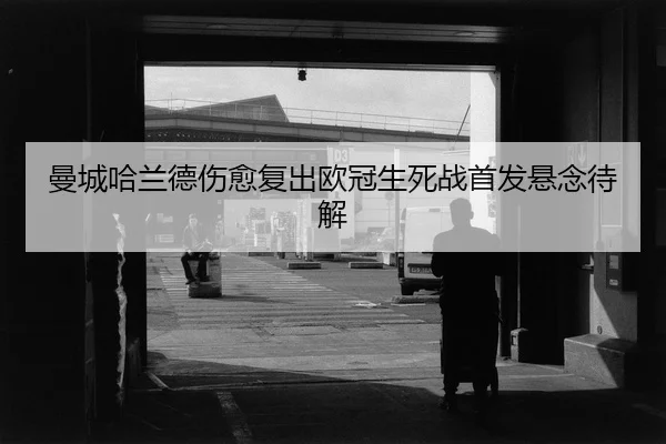 man-cheng-ha-lan-de-shang-yu-fu-chu-ou-guan-sheng-si-zhan-shou-fa-xuan-nian-dai-jie-2-146.jpg