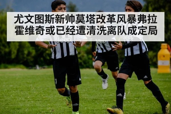 尤文图斯新帅莫塔改革风暴弗拉霍维奇或已经遭清洗离队成定局