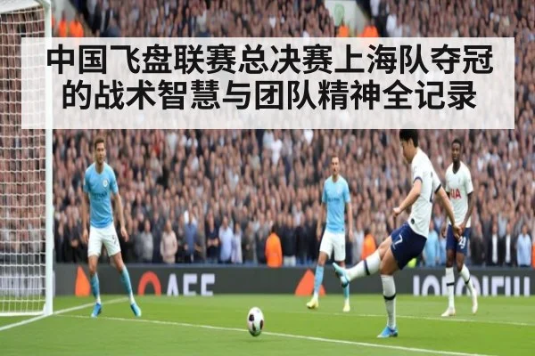 中国飞盘联赛总决赛上海队夺冠的战术智慧与团队精神全记录