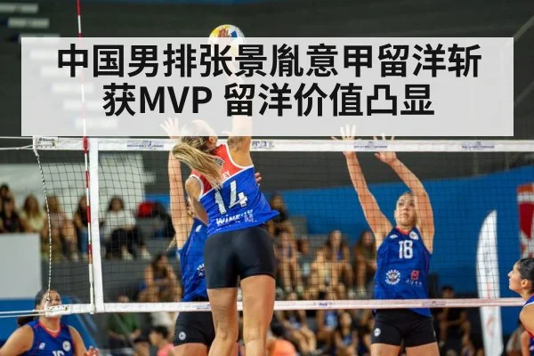 volleyball match action