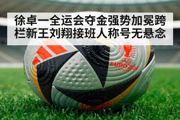 徐卓一全运会夺金强势加冕跨栏新王刘翔接班人称号无悬念
